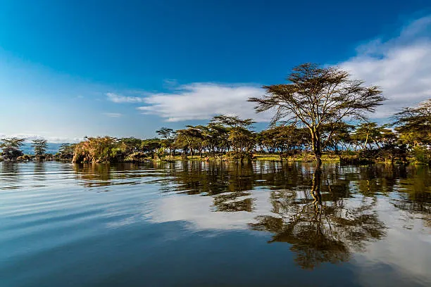 Panoramic view of Lake Naivasha with acacia trees reflected in the water