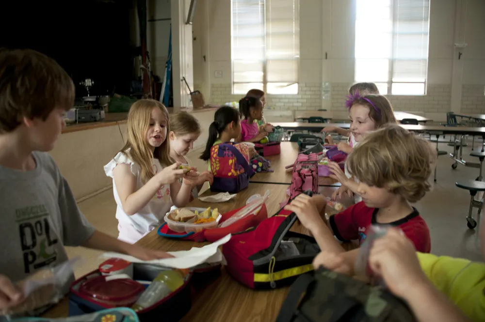 Healthy school meal on tray