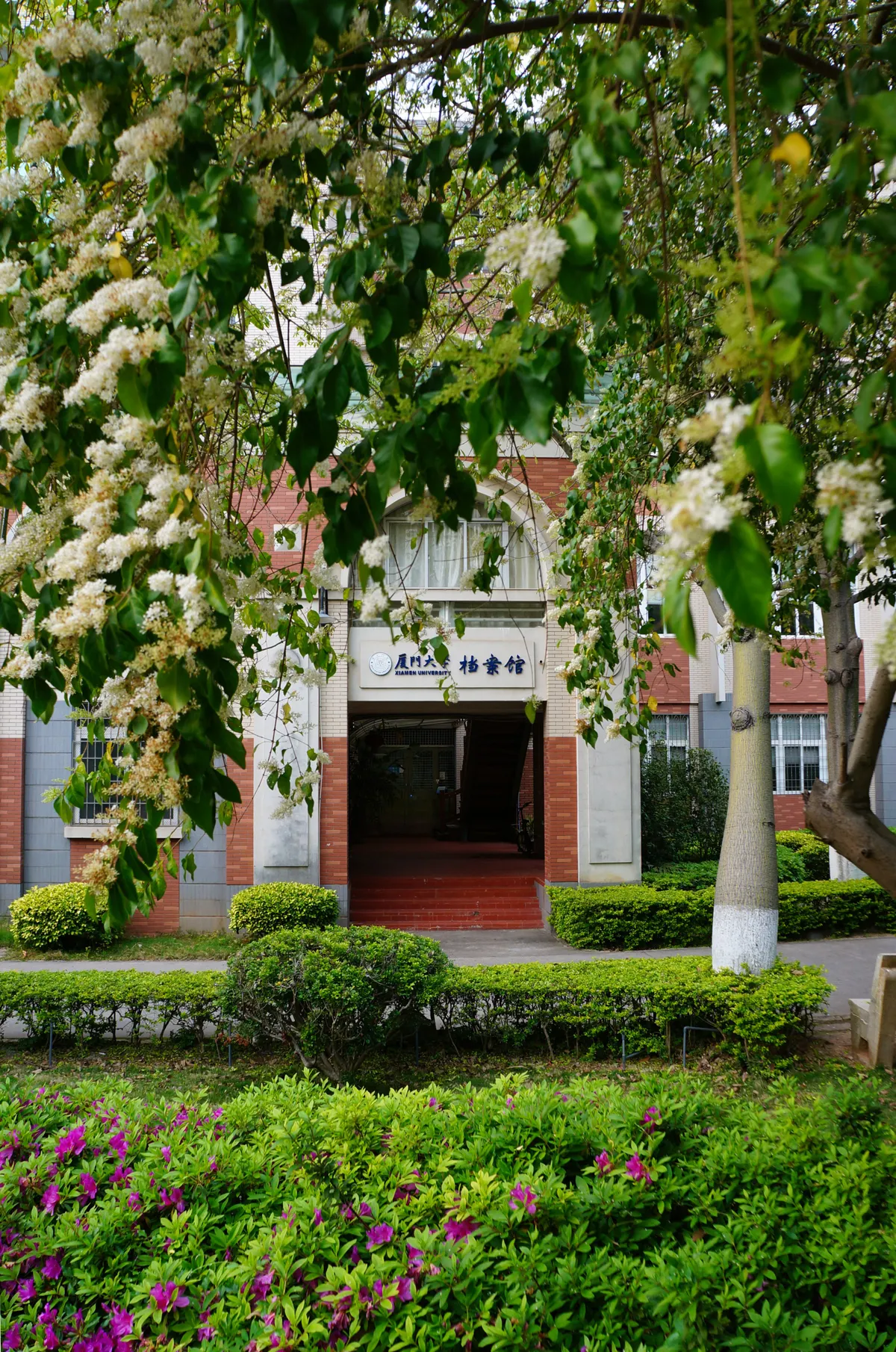 Wide shot of the serene Bura Mission campus entrance