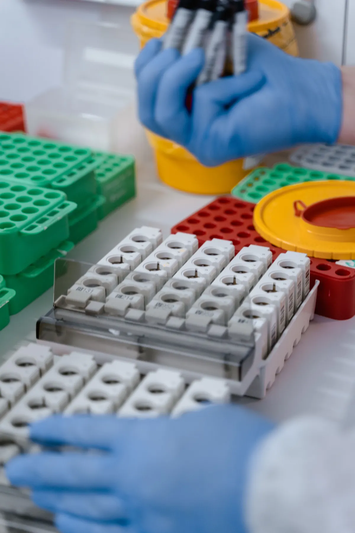 Professional medical lab workflow