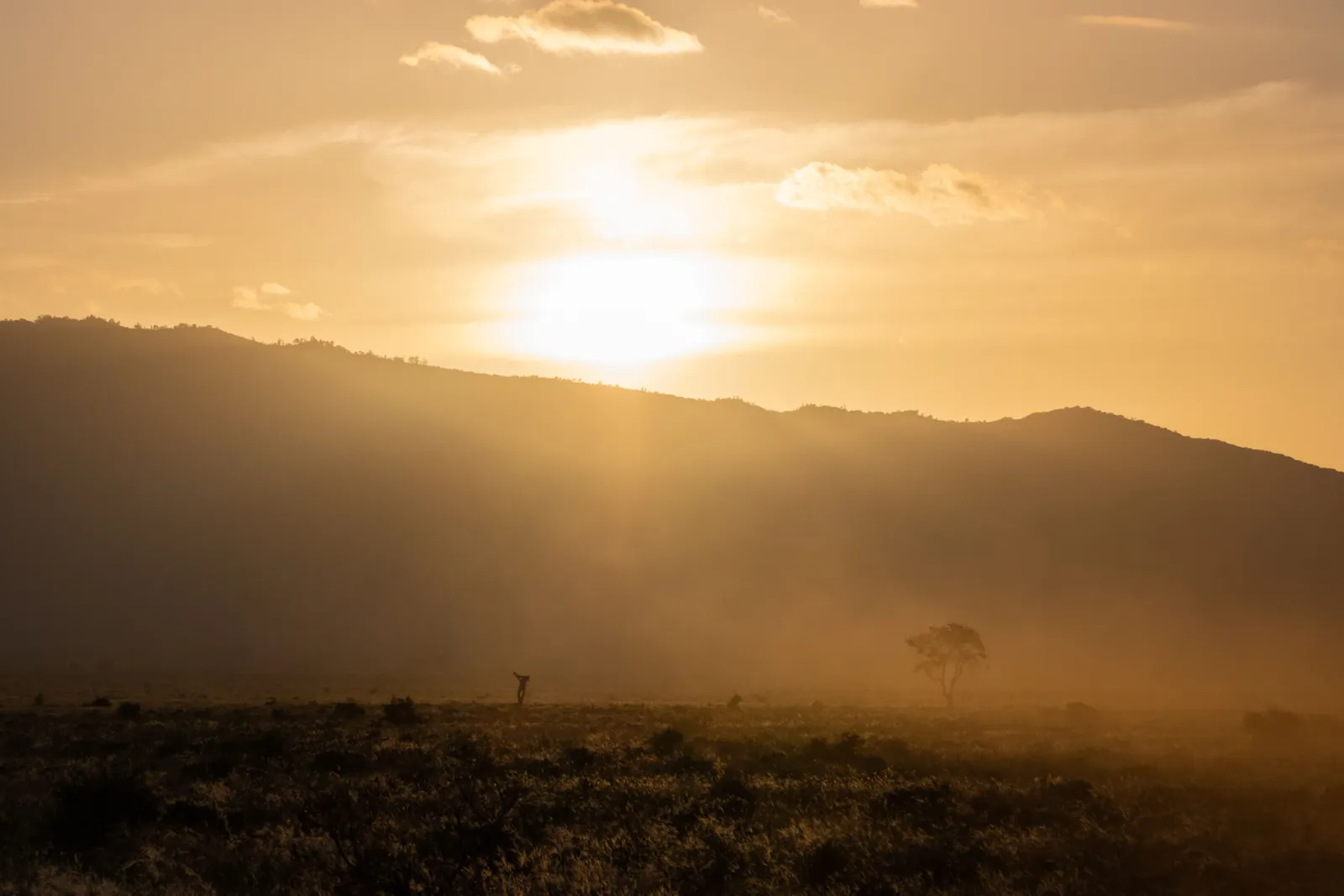 Dramatic Kenyan landscape at golden hour