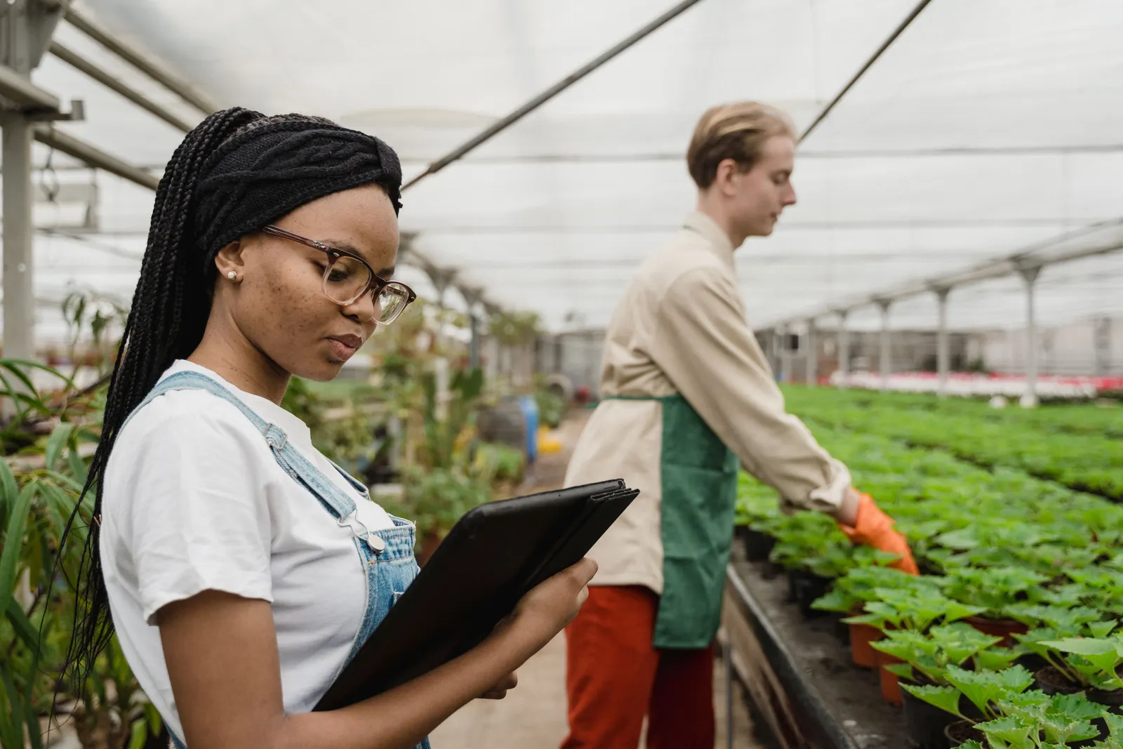 Modern greenhouse planning session