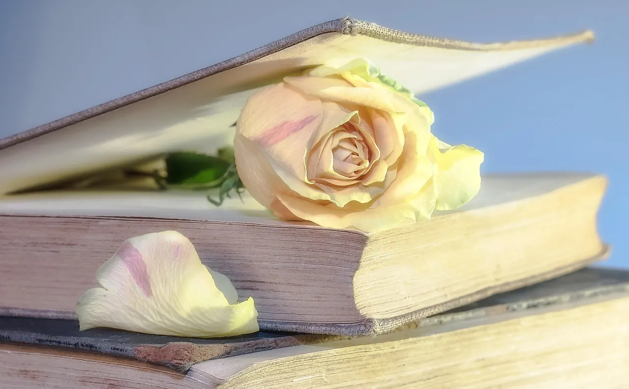 Nigerian law books and legal documents