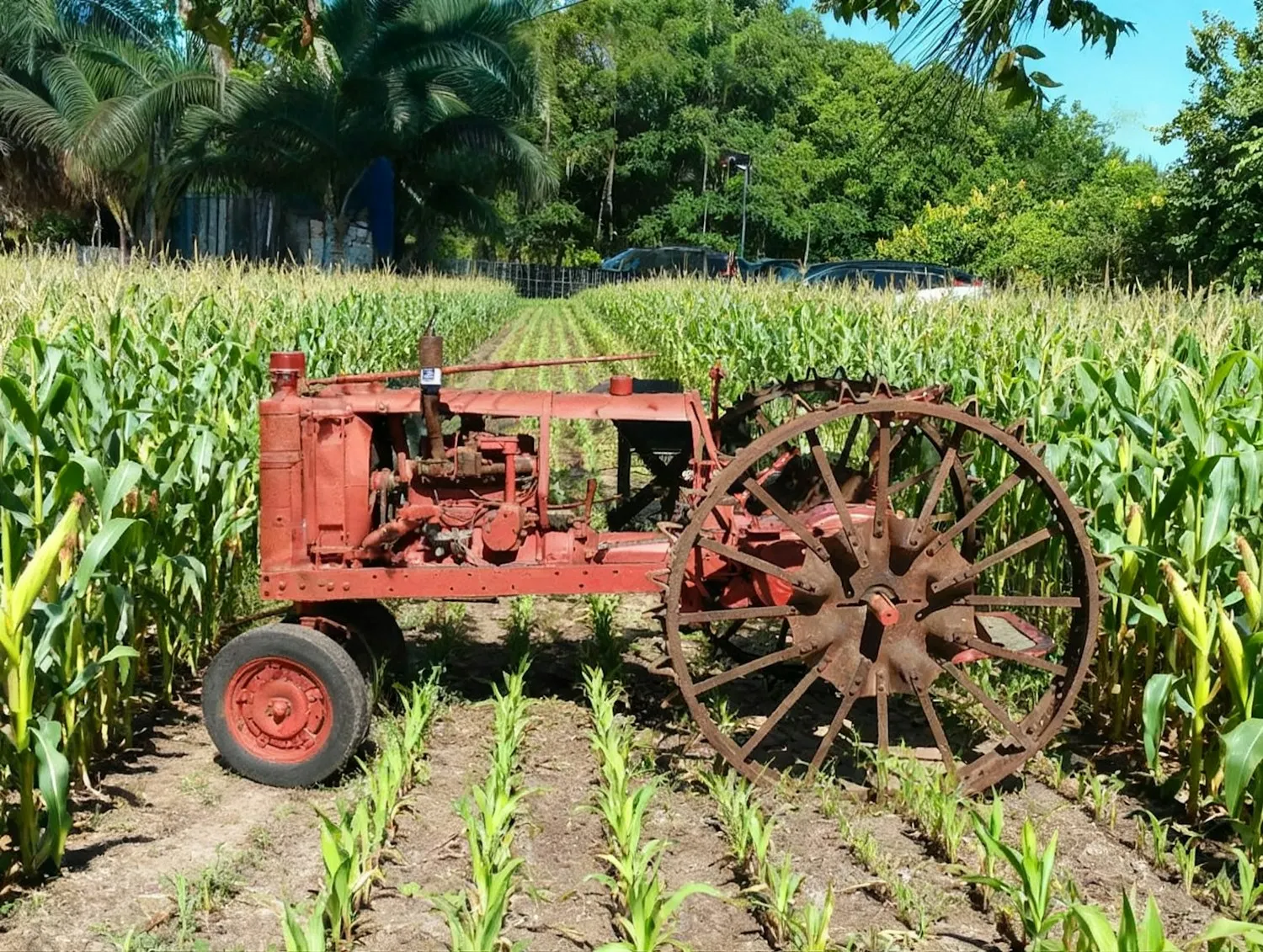 Power tiller preparing soil