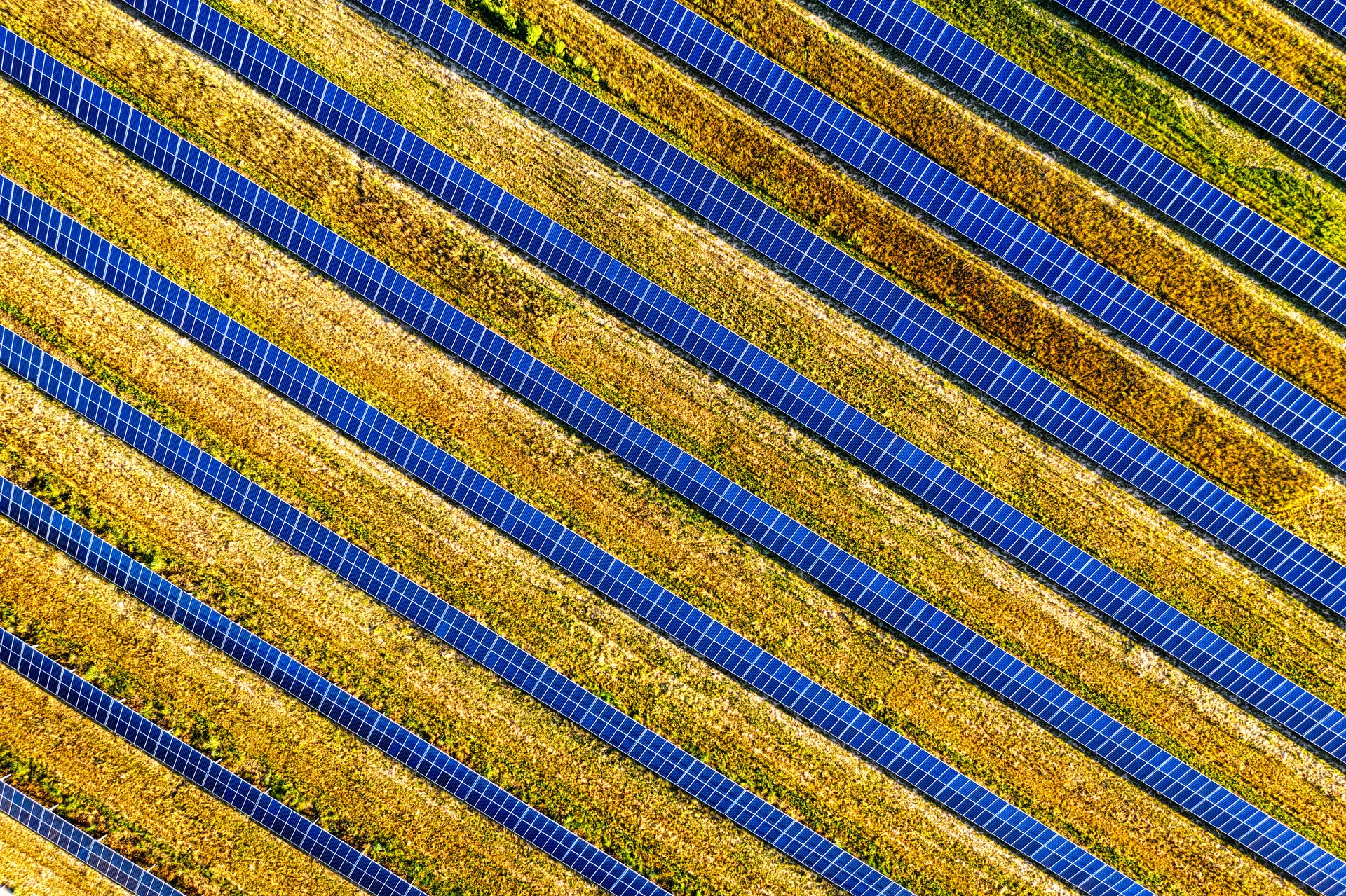 Aerial shot of solar panels in a green field