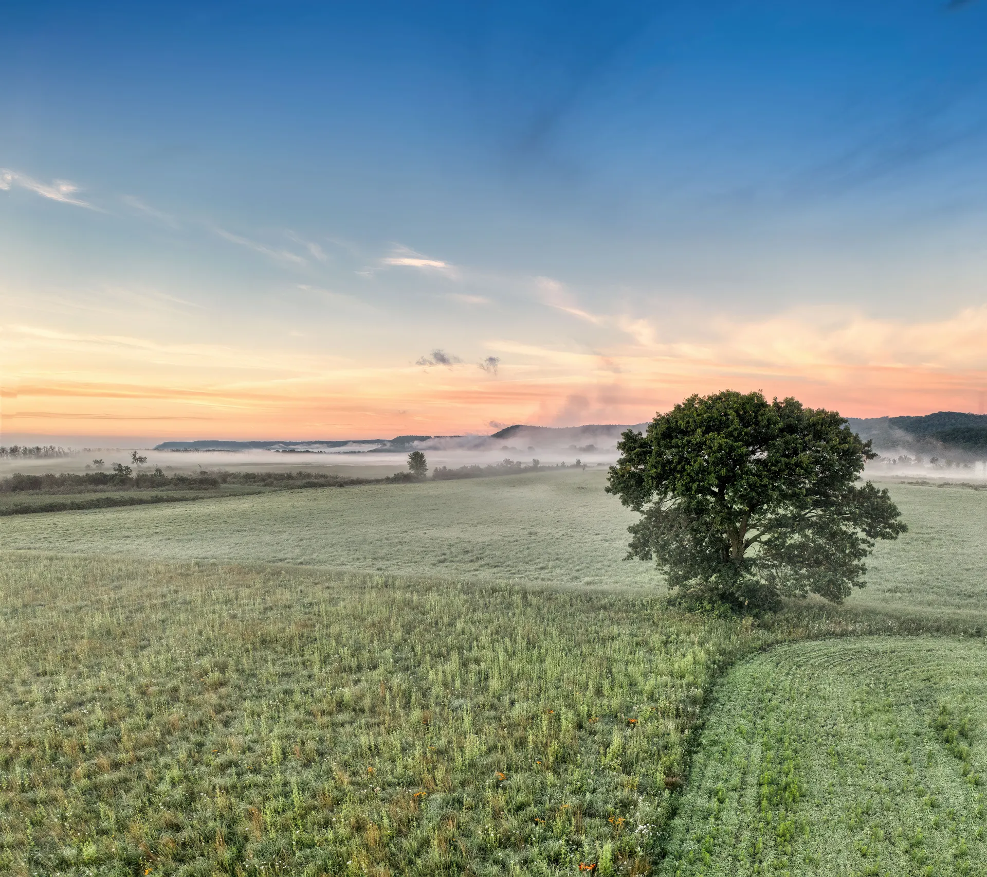Lush farmland at dawn