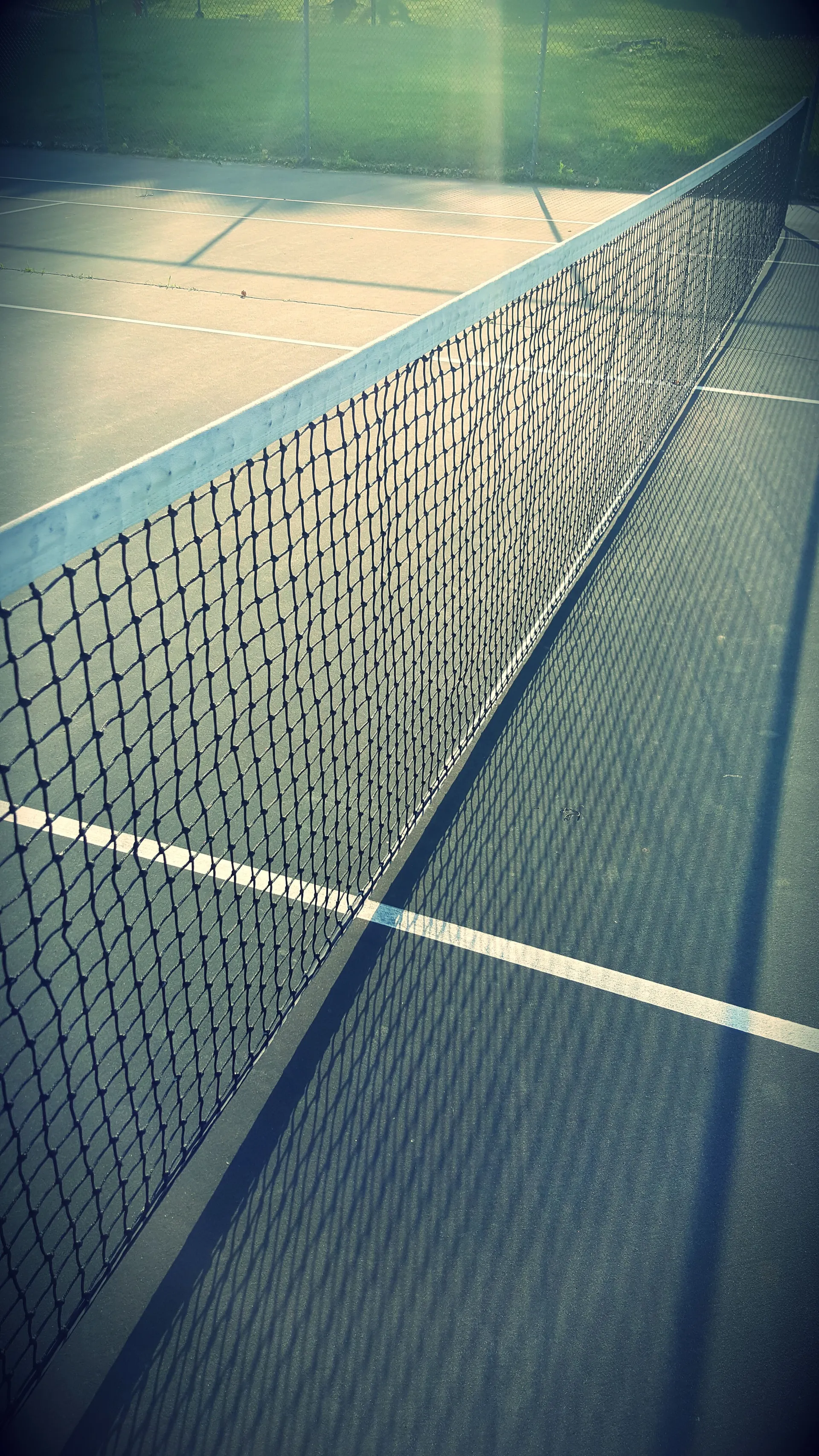 Melrose Park tennis court morning