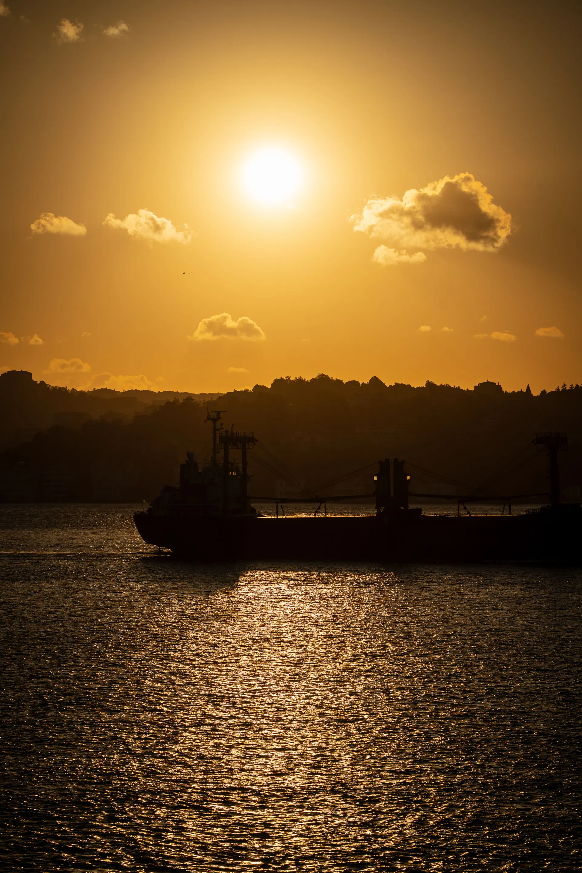 Global shipping vessel at sea
