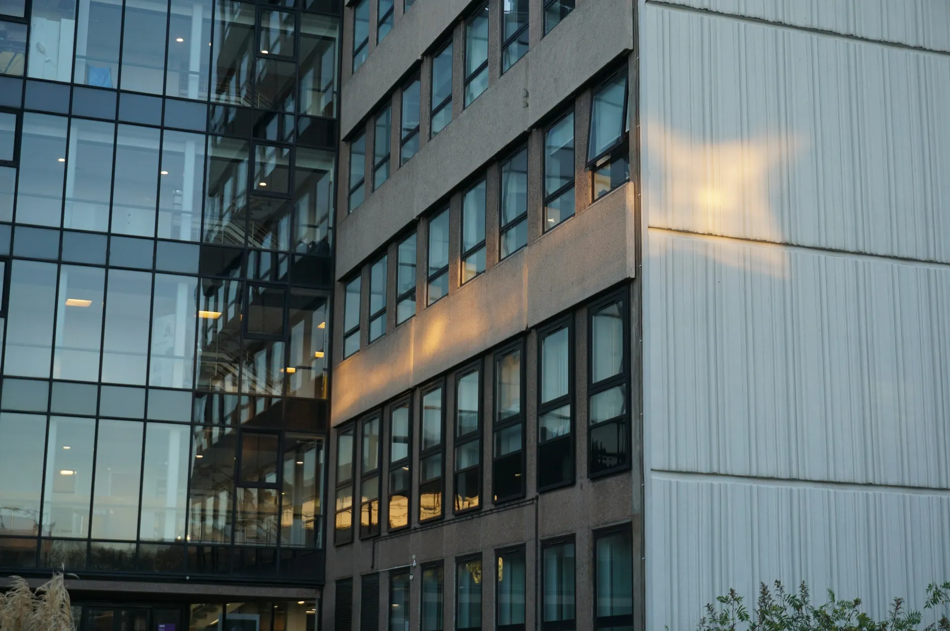 Jinie Schools Campus Exterior