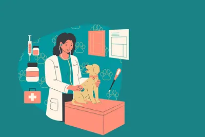 Professional diagnostic representation for livestock animal care solutions