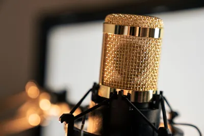 Gold plated microphone head