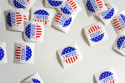 Voter papers