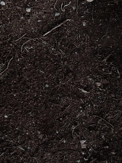 Fertile soil in Akure