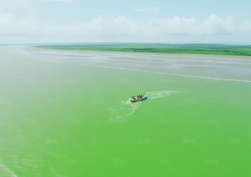 Rescue operations in emerald waters