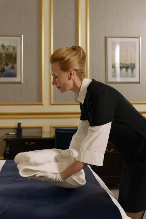 Professional housekeeping