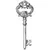 Key icon