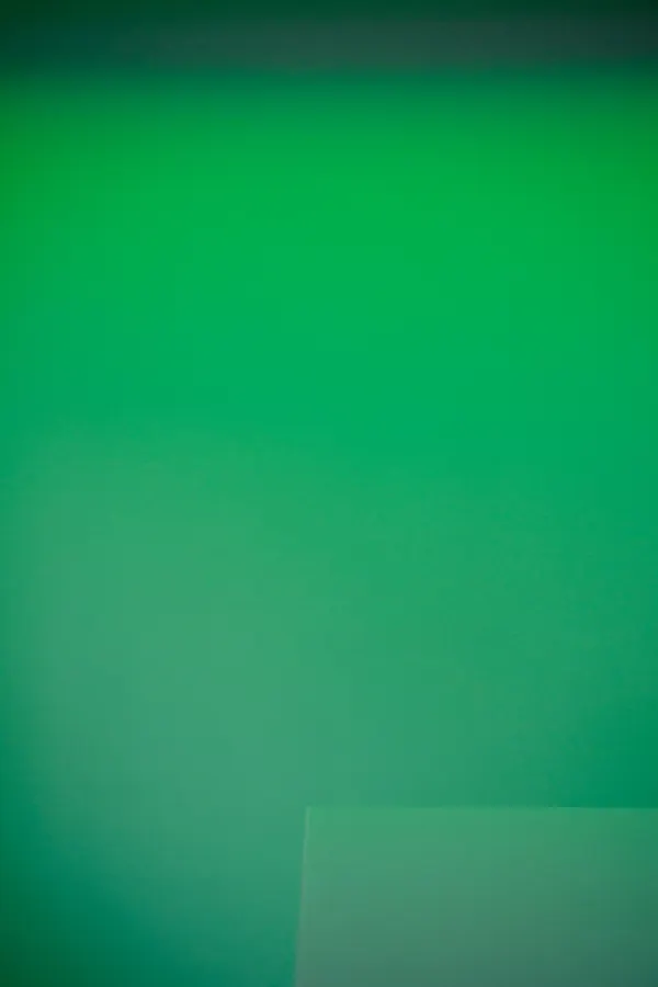 Minimalist green gradient representation of growth