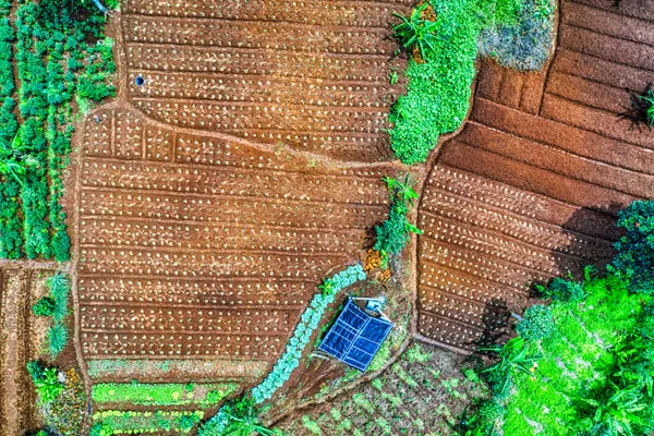 Aerial view of rural landscapes in Kenya