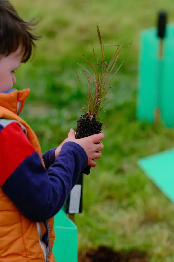 A young child engaged in tree planting activity