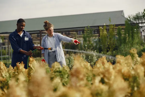 Clean water usage for irrigation and community