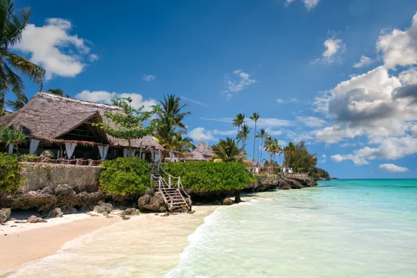 Turquoise shorelines and palm trees in Zanzibar