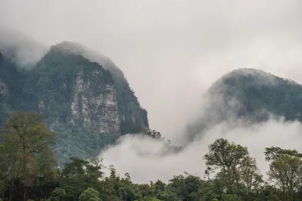 misty mountains rwanda