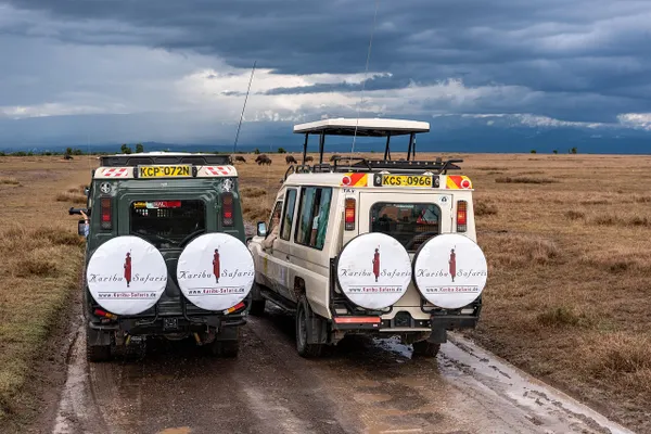 Safari vehicle in the Kenyan wilderness