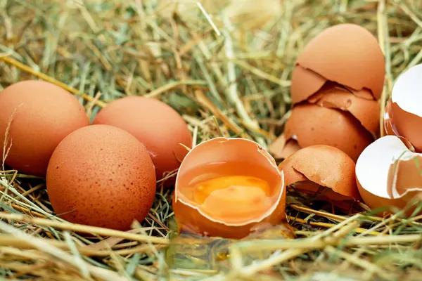 Premium Poultry Eggs