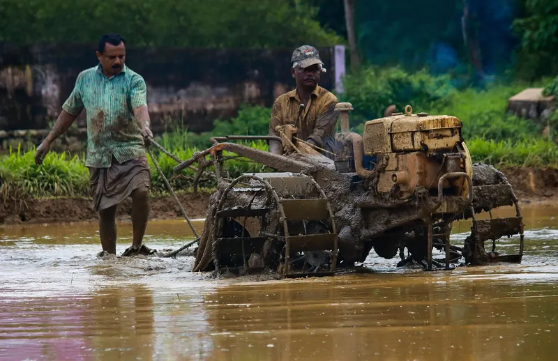 Farmer using a power tiller in a paddy field