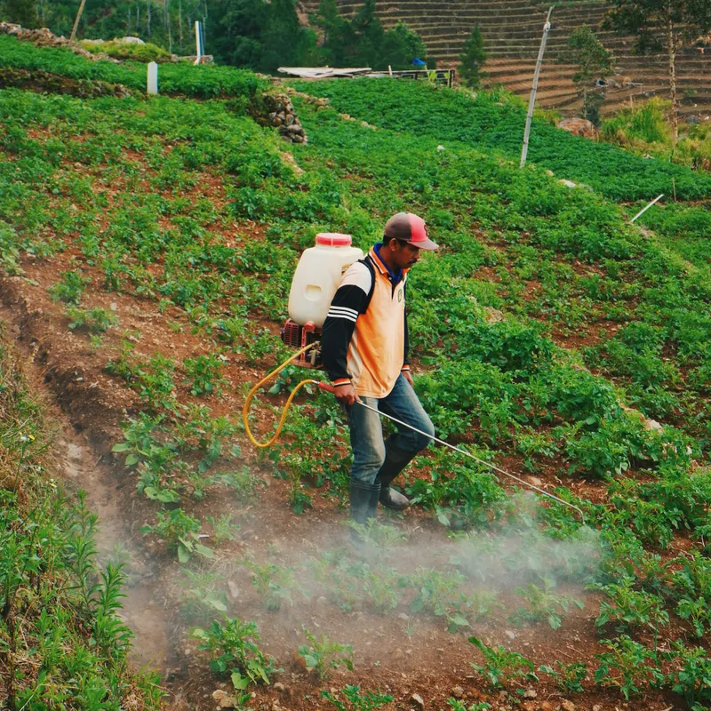 Manual knapsack sprayer