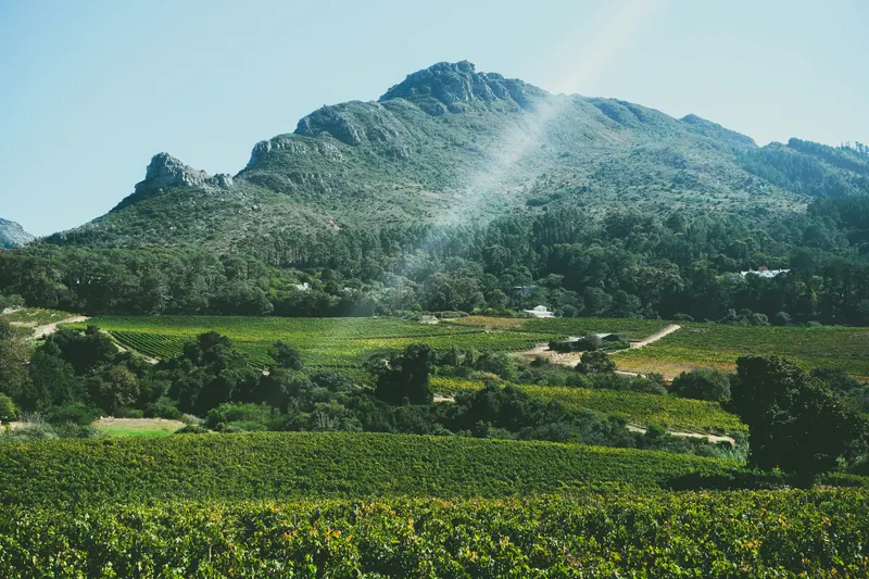 Green vineyard and valley beneath a large, sunny mountain