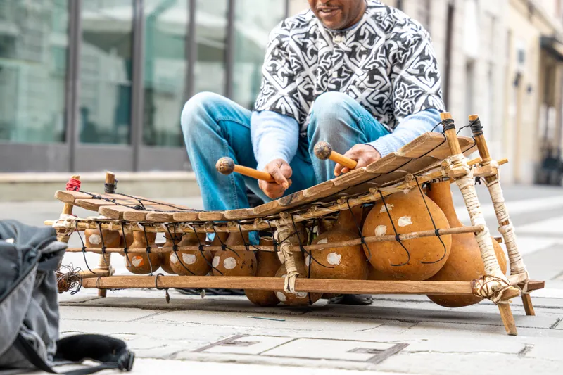 Traditional African balafon